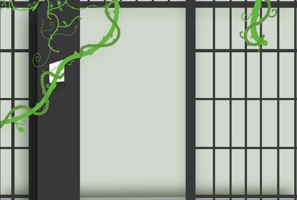 Episode 7 – 11/7/25